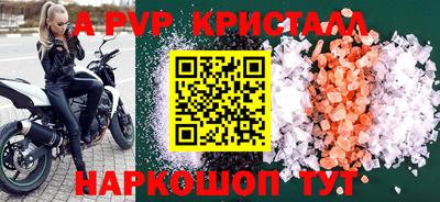 a pvp Новозыбков