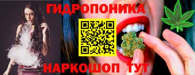 a pvp Новозыбков