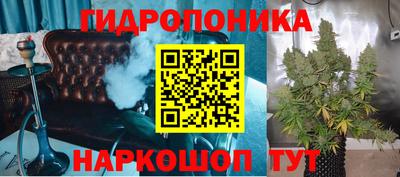 a pvp Новозыбков